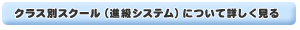 進級システムの詳細